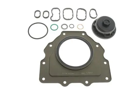 Комплект прокладок (нижний)) Renault Megane/Scenic 1.6dCi 11- ELRING 702.570