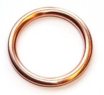 Уплотняющее кольцо, резьбовая пр. Уплотняющее кольцо ELRING 813192 (фото 1)