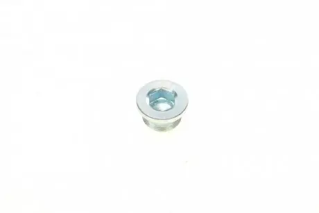 Болт зливу оливи (АКПП) VW Caddy/Golf/Passat/Touran/Seat Leon/Toledo 1.0-2.0TSI/TFSI 05- (M24x1.5x) ELRING 872.020