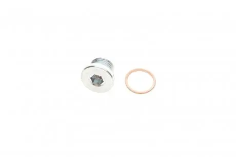 Болт слива оливы + шайба BMW 5 (E60)/7 (E65)/X5 (E53/F15) 01- N62/N63//N74 (M18x1.5) ELRING 877.870