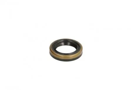 Элемент насоса Common Rail ENGITECH ENT210012