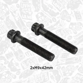 Комплект болтов ET ENGINETEAM BS0023