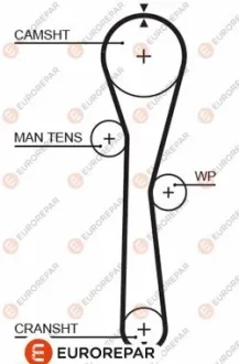 Ремінь зубчастий Z=95 RENAULT 1,2i: Kangoo, Clio, Twingo 00- EUROREPAR 1633131980