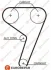 Ремінь ГРМ Ford Fiesta/Focus 1.4i/1.6 16V (117z) 98- EUROREPAR 1633142480 (фото 1)