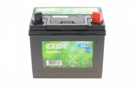 Акумуляторна батарея 24Ah/250A (197x132x186/+R) (Сад) EXIDE 4900