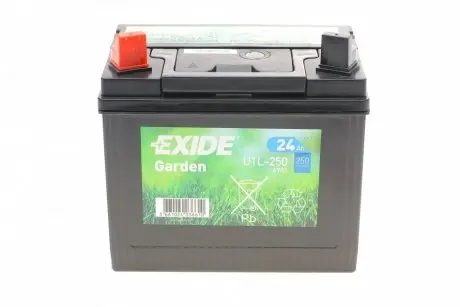 Акумуляторна батарея 24Ah/250A (197x132x186/+L) (Сад) EXIDE 4901
