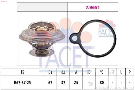 Термостат FACET 7.8613