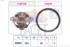 Термостат Renault Megane III (09-), Fluence (10-), Koleos (13-) 2.0 16V, 2.0 TCE 78713