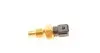 Датчик температури охолоджуючої рідини Citroen Berlingo/Jumper 1.1i/2.0 94- (2 конт.) (чорний) FAE 33792 (фото 2)