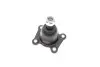 Опора шаровая (передняя/снизу)) Toyota Hilux 2.2/2.4/2.5 85-05 FAG 825 0269 10 (фото 5)