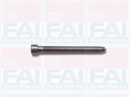 К-кт гвинтів Г/Б (10шт) 1.8 VW Passat B5 /Audi A4, A6 FAI B1006