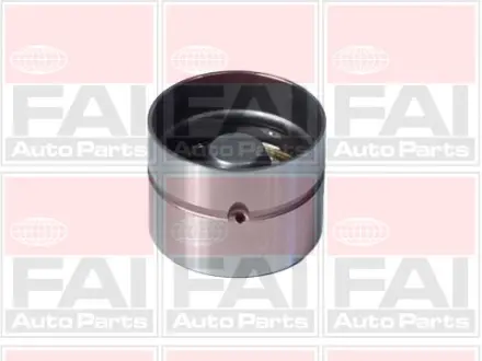 VW гідрокомпенсатор Audi,VW,Ford FAI BFS66S