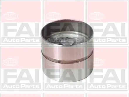 OPEL гідрокомпенсатор Astra F,H,Frontera,Kadett E,Omega A/B,Signum,Sintra,Vectra A/B/C,Chevrolet Lacetti,Daewoo Lanos,Nubira 1.4/3.0 FAI BFS86S