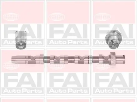 VW вал розподільчий Audi A4/6/8,Passat,Skoda SuperB I 2.5TDI FAI C244
