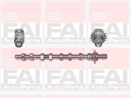 Розподільчий вал IN Citroen C2, C3, C4, C5, Berlingo MINI (R56),Peugeot 1007, 206, 207, 3008, 307, 308, 407 1.6HDi 04- FAI C266