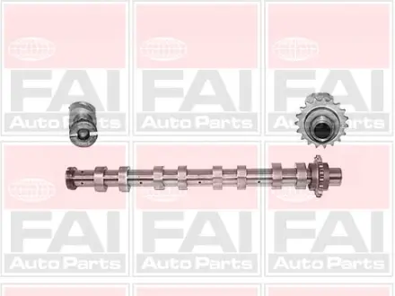 Розподільчий вал EX Citroen C2, C3, C4, C5, Berlingo MINI (R56),Peugeot 1007, 206, 207, 3008, 307, 308, 407 1.6HDi 04- FAI C267