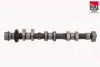 FORD Кулачковий вал (для впускних клапанів) C-MAX II (DXA/CB7, DXA/CEU) 1.0 EcoBoost 12-19, FIESTA VII (HJ, HF) 1.0 EcoBoost Active 18- FAI C448 (фото 1)