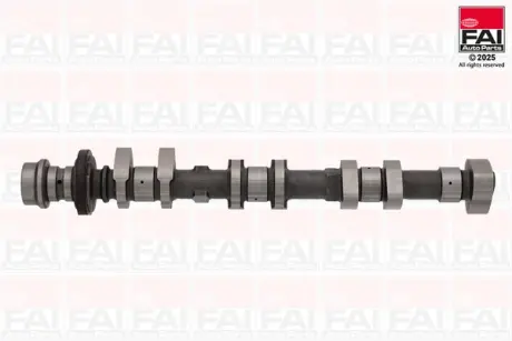 FORD Кулачковий вал (для впускних клапанів) C-MAX II (DXA/CB7, DXA/CEU) 1.0 EcoBoost 12-19, FIESTA VII (HJ, HF) 1.0 EcoBoost Active 18- FAI C448