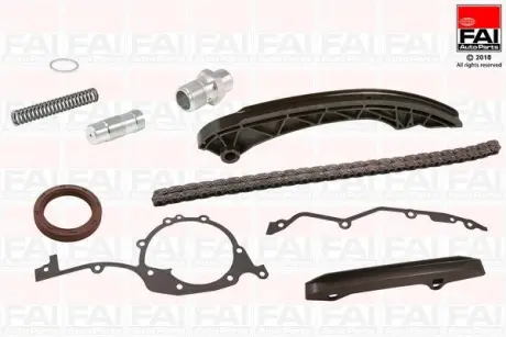 К-кт ланцюга приводу ГРМ (з ущільненнями) BMW 3 (E46)/5(E39) 95- (M52/M54) FAI TCK170