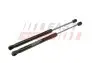 ГАЗОВИЙ АМОРТИЗАТОР HYUNDAI TUCSON I 04> БАГАЖНИКА КПЛ ЛВ+ПР 382MM / 140N FAST FT00187K (фото 1)
