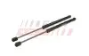 ГАЗОВИЙ АМОРТИЗАТОР HYUNDAI TUCSON I 04> БАГАЖНИКА КПЛ ЛВ+ПР 382MM / 140N FAST FT00187K (фото 2)