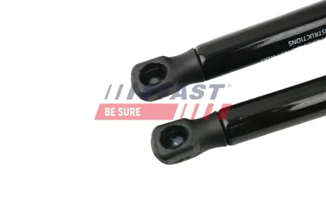 ЗАХИСТ ГАЛЬМІВНОГО ДИСКА FIAT CINQUE / SEICENTO ЛВ FAST FT00212