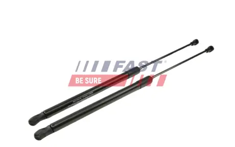 ПАЛИВНА ТРУБКА FORD FIESTA V 01> ПОВОРОТНИЙ 1.4 TDCI 01> FAST FT00226
