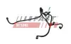 ТОПЛИВНАЯ ТРУБКА PEUGEOT 206 98&gt; 1.4 HDI XSARA FAST FT00236 (фото 1)