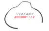 ТРУБКА ФОРСУНКИ MINI COOPER 01> ПЕРЕЛИВ ONE D 1.4 R50 / R53 FAST FT00989 (фото 2)
