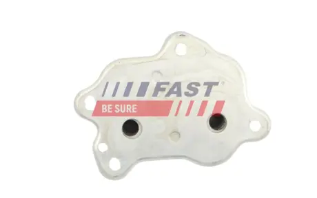 ШАРНІР ВАЖЕЛЯ FORD FOCUS II 04> ЛВ/ПР FI 21MM FAST FT01685