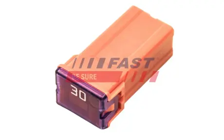 АКСЕССУАРЫ - BEZPIECZNIK KOSTKOWY PAL MAŁY 30A (1 SZT) FAST FT11472