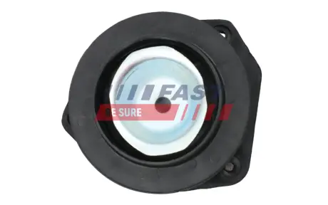 ЗАЩИТА АМОРТИЗАТОРА FIAT DUCATO 06> ПЕРЕД С ОТБОЙНИКОМ 3.0 JTD FAST FT12519