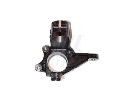 Цапфа Citroen Berlingo 96 Перед Пр 18Mm Abs FAST FT13524