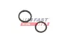 ПРОКЛАДКА МАСЛЯНОГО НАСОСУ FIAT DOBLO 09> SET FAST FT38804 (фото 1)