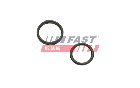 ПРОКЛАДКА МАСЛОНАСОСА FIAT DOBLO 09> SET FAST FT38804