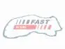 ПРОКЛАДАННЯ МЕХАНІЗМУ ГРМ FORD TRANSIT 06> 3.2 TDCi 08> FAST FT41602 (фото 1)