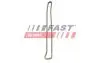 Цепь ГРМ Audi Renault Master/Opel Movano/Nissan NV400 2.3D 10- FAST FT41805 (фото 1)