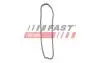 Цепь ГРМ Audi Renault Master/Opel Movano/Nissan NV400 2.3D 10- FAST FT41805 (фото 2)