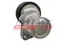 НАТЯЖИТЕЛЬ РЕМНЯ MICRO-V FORD TRANSIT 06&gt; 6PK FAST FT45707 (фото 2)