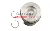 ПОРШЕНЬ FORD TRANSIT 13&gt; /15&gt; 2.0 ECOBLUE 84.51MM FAST FT4713650 (фото 1)