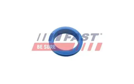 Ущільнювальне кільце FORD TRANSIT CONNECT 02> ЩУП ОЛІЙНИЙ 1.8 TDCI FAST FT48955