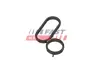 ПРОКЛАДКА FIAT DOBLO 00> ПАТРУБОК ВЕНТИЛЯЦІЇ КАРТЕРНИХ ГАЗІВ 13> 1.6 JTD FAST FT48959 (фото 1)