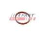 ПРОКЛАДКА КОЛЕКТОРА FIAT SCUDO 07&gt; ВПУСКНИЙ 1.6 JTD 11&gt; FAST FT49418 (фото 1)