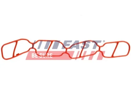 ПРОКЛАДКА КОЛЕКТОРА FIAT DOBLO 00> ВПУСКНИЙ 1.3JTD FAST FT49439