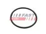 ПРОКЛАДКА КОЛЕКТОРА RENAULT KANGOO II 08&gt; ВПУСКНИЙ 1.6 09&gt; FAST FT49460 (фото 1)