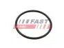ПРОКЛАДКА КОЛЕКТОРА RENAULT KANGOO II 08&gt; ВПУСКНИЙ 1.6 09&gt; FAST FT49460 (фото 2)