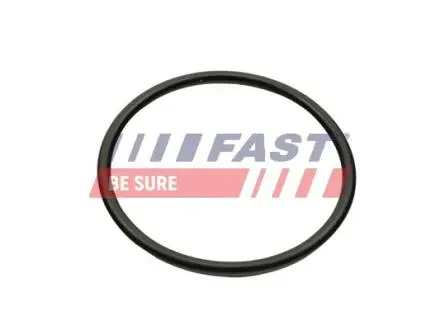 ПРОКЛАДКА КОЛЕКТОРА RENAULT KANGOO II 08> ВПУСКНИЙ 1.6 09> FAST FT49460