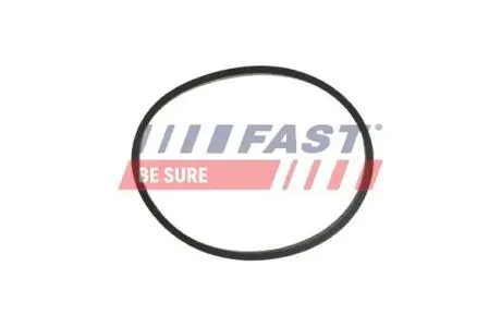 ПРОКЛАДКА КОЛЕКТОРА FIAT DUCATO 14> ВПУСКНИЙ 2.3 FAST FT49464