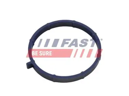 ПРОКЛАДКА КОЛЕКТОРА FORD TRANSIT 06> ВПУСКНИЙ /11> 2.2 TDCI FAST FT49467