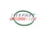 ПРОКЛАДКА КОЛЛЕКТОРА FIAT DOBLO 09&gt; ВПУСКНОЙ 1.4 Flex 14&gt; FAST FT49472 (фото 2)